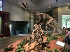 -自贡恐龙博物馆