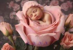 -菲啦城堡高端儿童摄影会所(武夷商业城店)