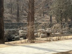 -白水寺森林公园