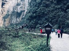 -武隆天坑地缝国家地质公园
