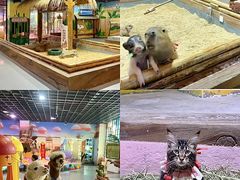 -顺德南宏海立方海洋公园