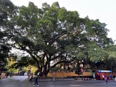 -桂林独秀峰王城景区