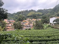 -杨家堂村