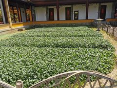 -重元寺香积厨素斋馆