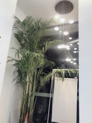 -盼兮·日式美睫沙龙