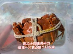 -蟹村草堂·苏式园林人文农家·大闸蟹