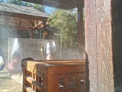 -春晖园度假酒店温泉