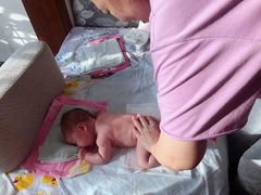 -爱月宝月嫂·育儿嫂(哈尔滨总店)