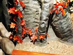 -庆会楼硫磺浴(西塔街店)