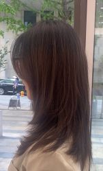 -豪斯塔美发连锁