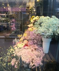 -苏宁环球套房饭店·宴会厅