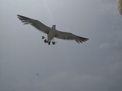 -海驴岛(荣成市)