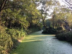 -金孔雀温泉旅游度假村