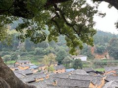-杨家堂村