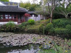 -上海醉白池公园