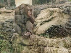 -黔灵山公园