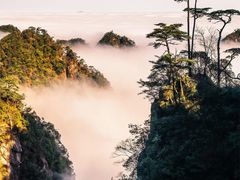 -东江湖旅游区