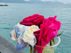 -三亚西岛海洋文化旅游区