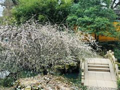 -北寺塔