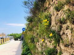 -白草畔自然风景区