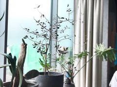 -半山腰·云南菜(侨福芳草地店)