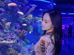 -石家庄极地海洋世界