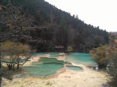 -黄龙山原始森林景区