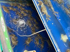 -阳澄湖大闸蟹·琼灵阁牌品牌连锁(吴中总店)