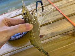 -小象钓虾·营地烧烤(洛溪店)