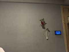 -陆琴脚艺·足浴·SPA(夫子庙店)