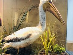 -漩门湾国家湿地公园