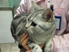 -暖阳宠物医院·犬猫康复中心·骨科