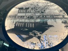 -新白鹿餐厅(金鹰新街口店)