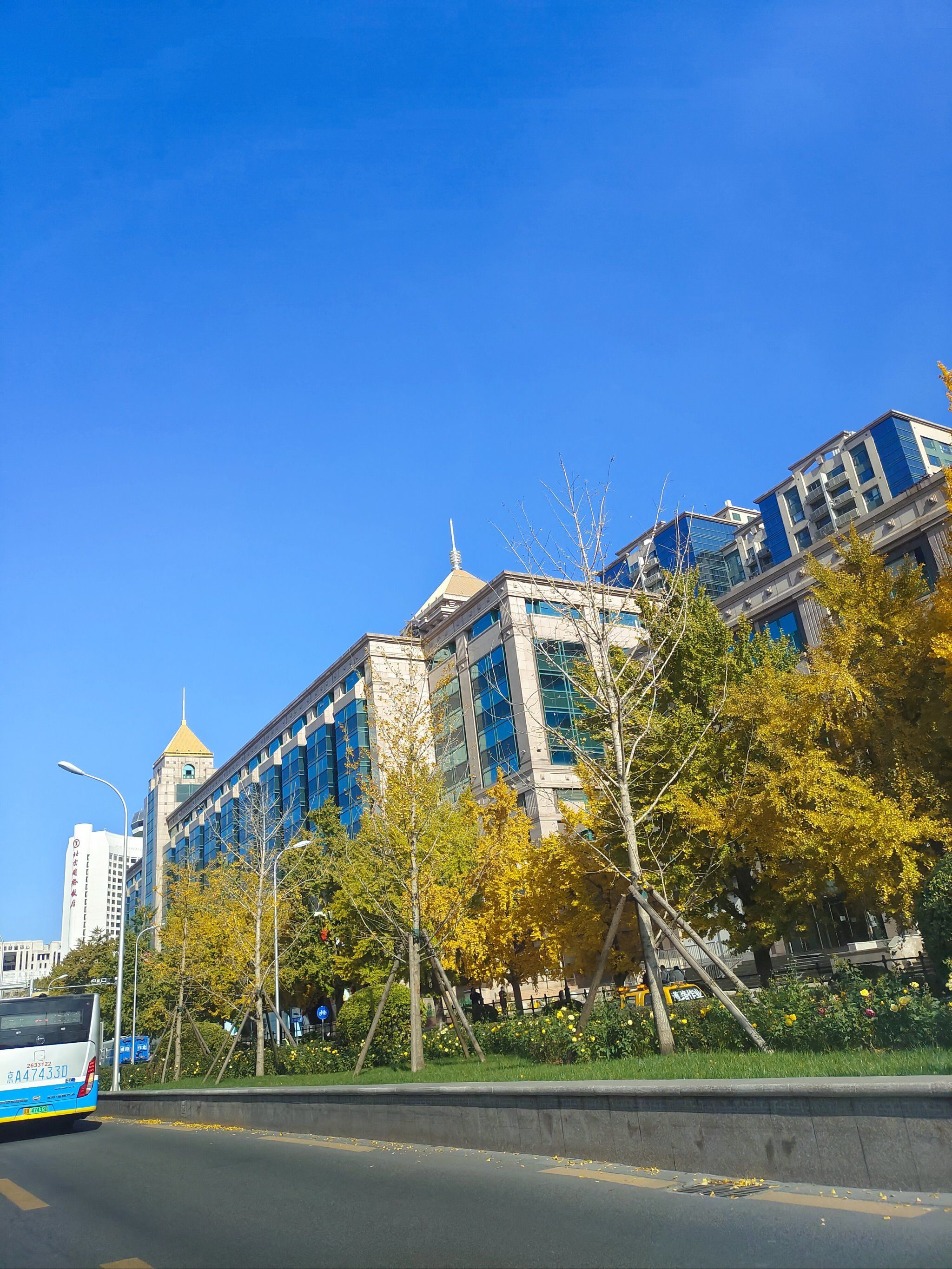 一到秋天,北京就美成了北平