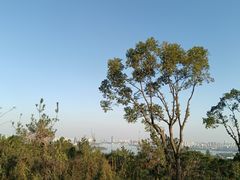 -宝界山林公园