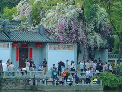 -深圳国际园林花卉博览园