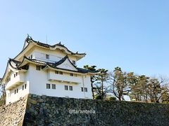 -名古屋城