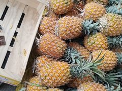 -大自然美食农庄(广州南站店)
