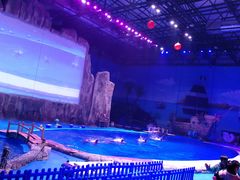 -华夏文旅海洋公园