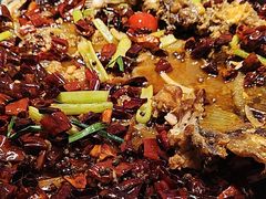 -老板恋上鱼(恒隆广场店)