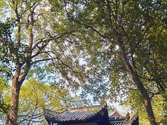 -丰都鬼城名山景区