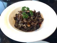 -云中小雅