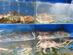 水产区-蚝专家(北滘店)