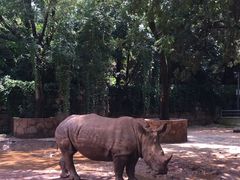 -昆明动物园