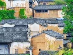-杨家堂村