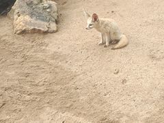 -深圳野生动物园