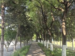 -汉长安城未央宫国家考古遗址公园