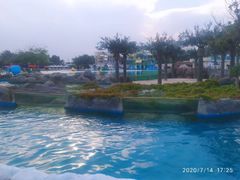 -秦皇岛乐岛海洋王国