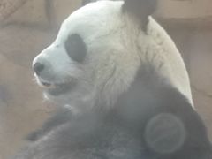 -泉州海丝野生动物世界