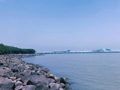 -上海吴淞炮台湾国家湿地公园
